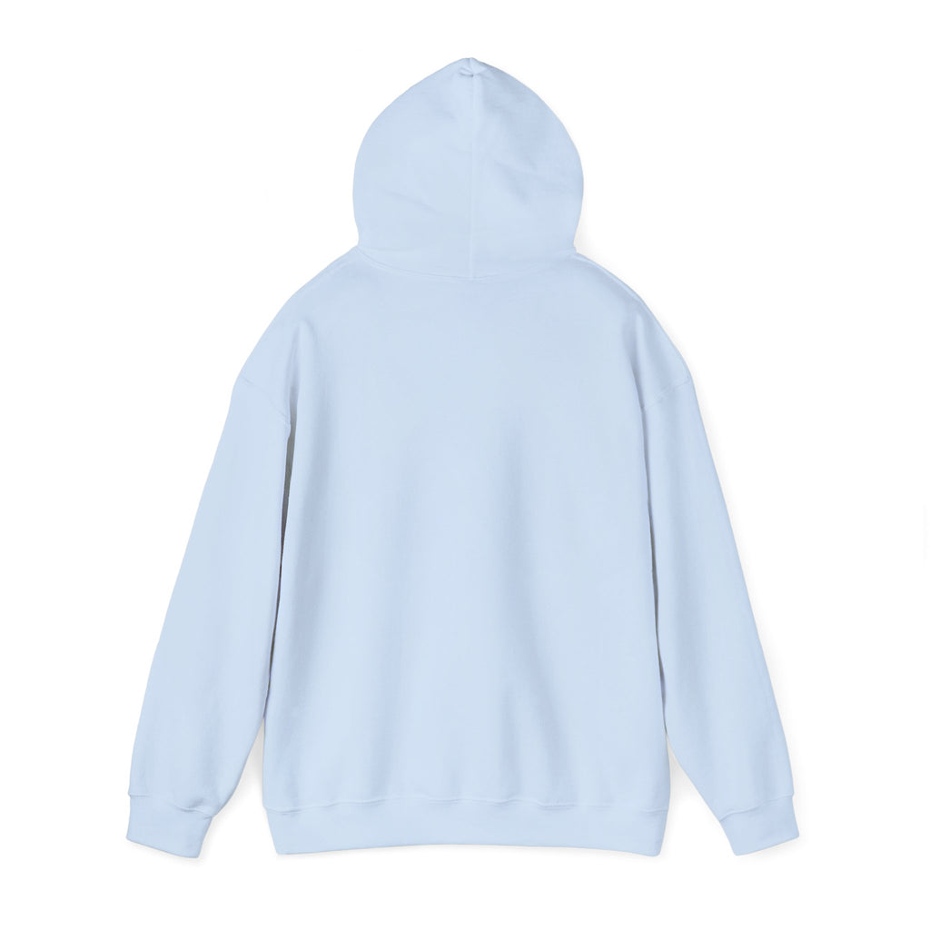 Sweat à capuche graphique SkAmina Lion, sweat-shirt unisexe en mélange lourd, vêtements décontractés confortables, cadeau pour les amoureux du lion, style streetwear, pull confortable