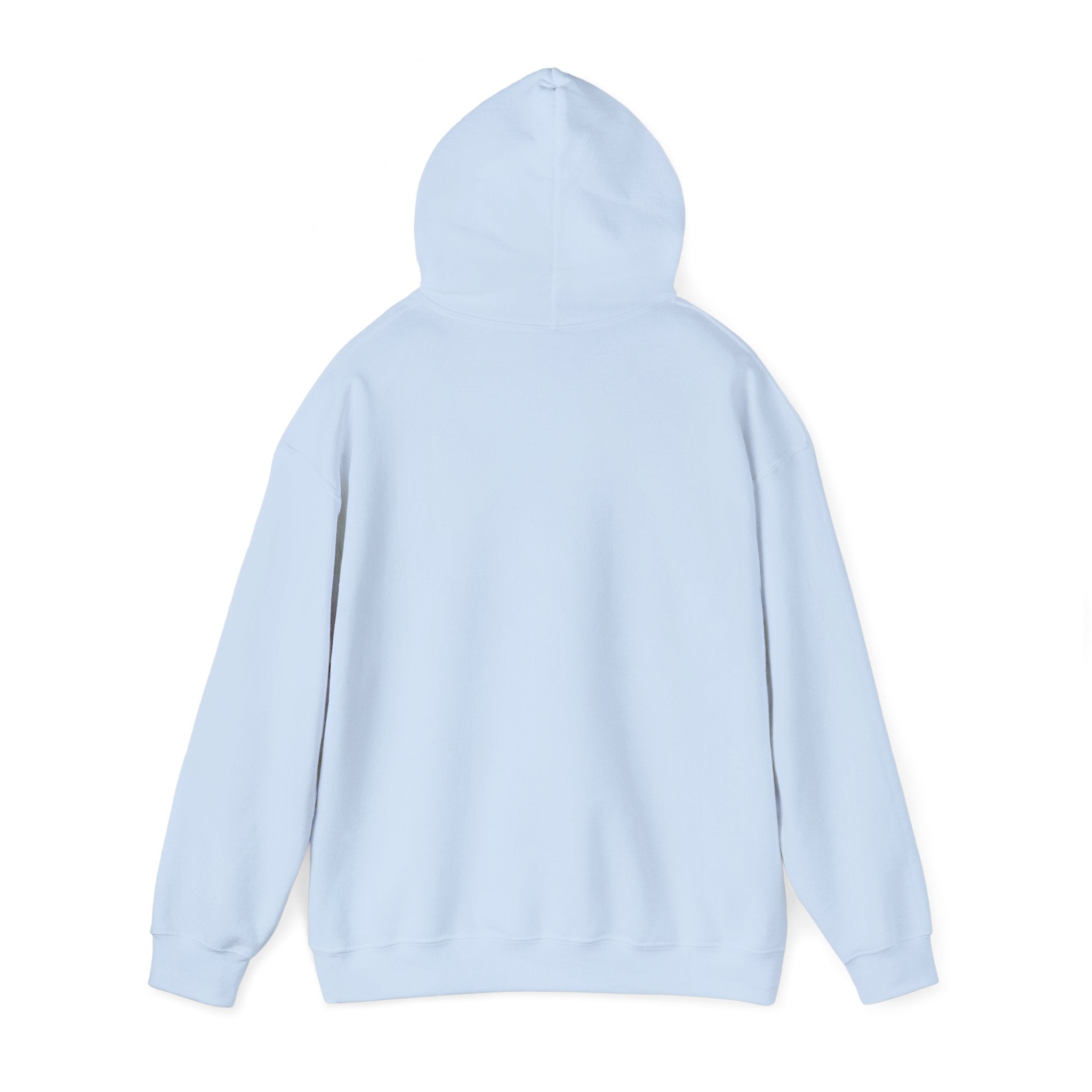 Sweat à capuche graphique SkAmina Lion, sweat-shirt unisexe en mélange lourd, vêtements décontractés confortables, cadeau pour les amoureux du lion, style streetwear, pull confortable