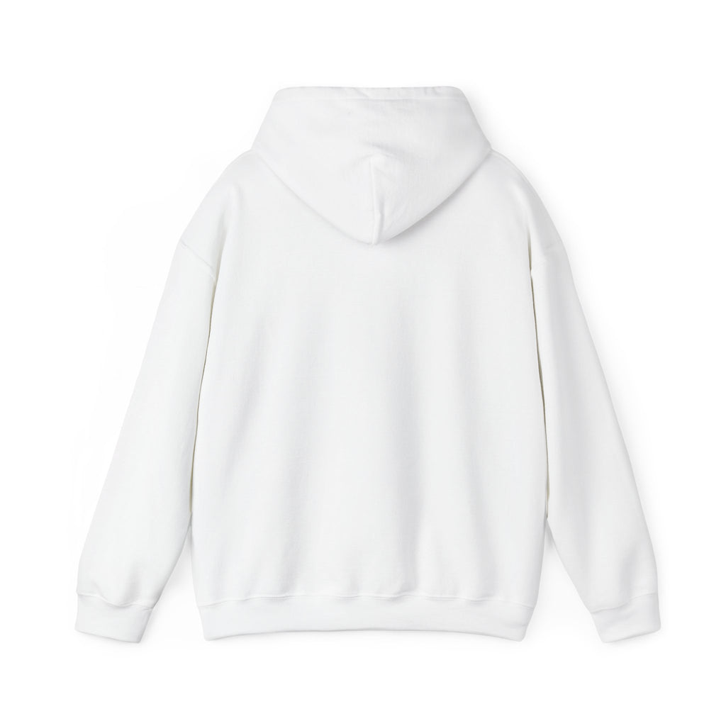 Sweat à capuche graphique SkAmina Lion, sweat-shirt unisexe en mélange lourd, vêtements décontractés confortables, cadeau pour les amoureux du lion, style streetwear, pull confortable