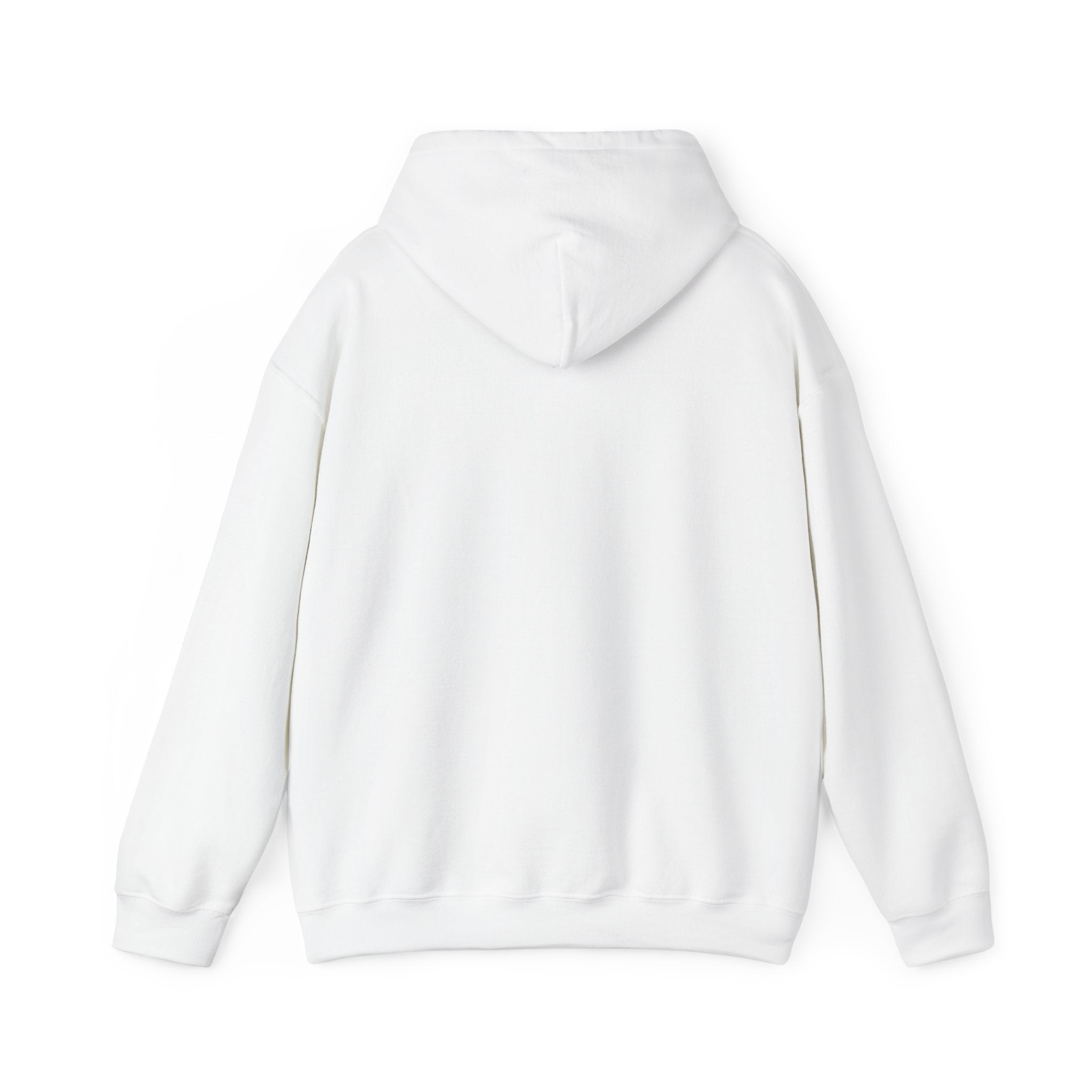 Sweat à capuche graphique SkAmina Lion, sweat-shirt unisexe en mélange lourd, vêtements décontractés confortables, cadeau pour les amoureux du lion, style streetwear, pull confortable