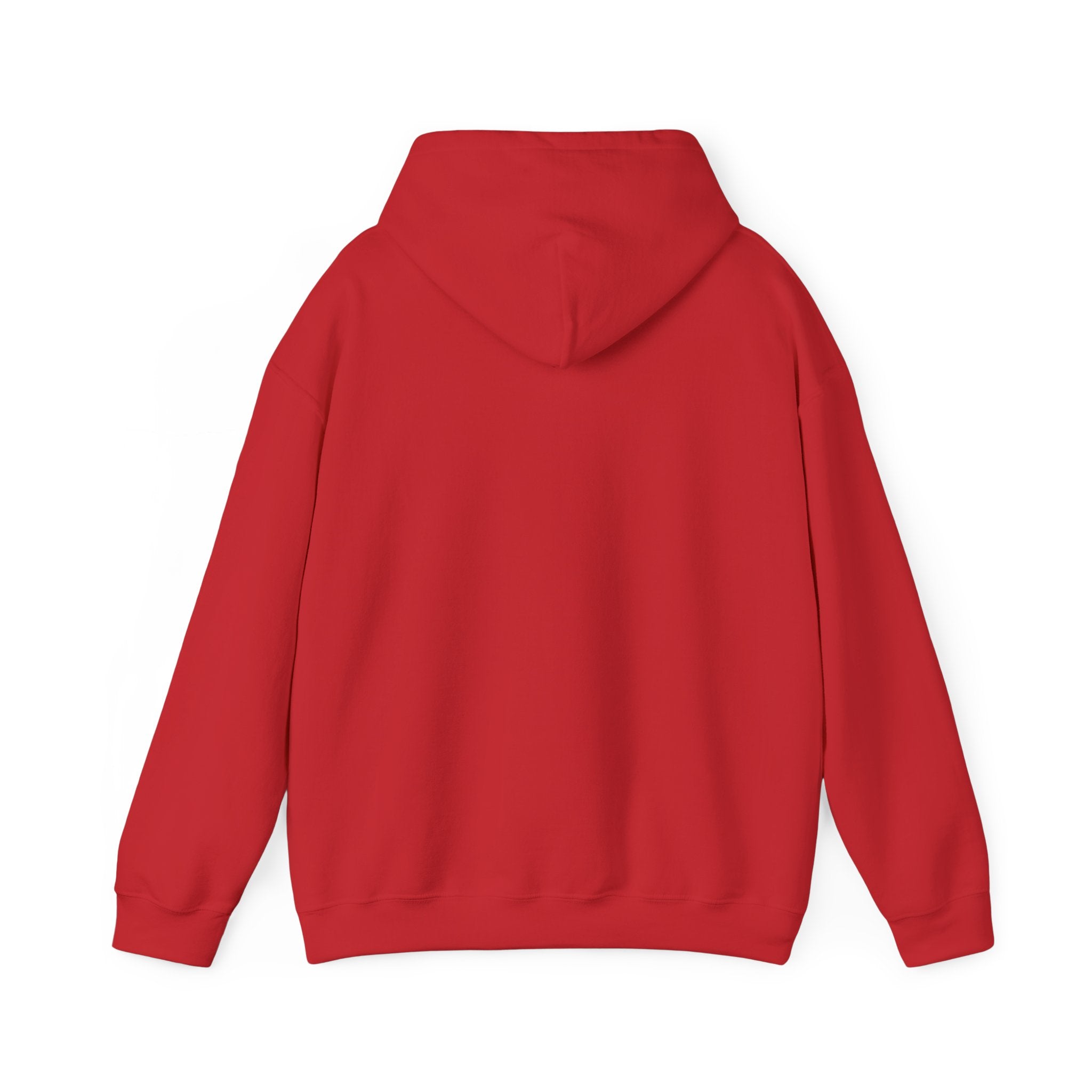 Sweat à capuche graphique SkAmina Lion, sweat-shirt unisexe en mélange lourd, vêtements décontractés confortables, cadeau pour les amoureux du lion, style streetwear, pull confortable