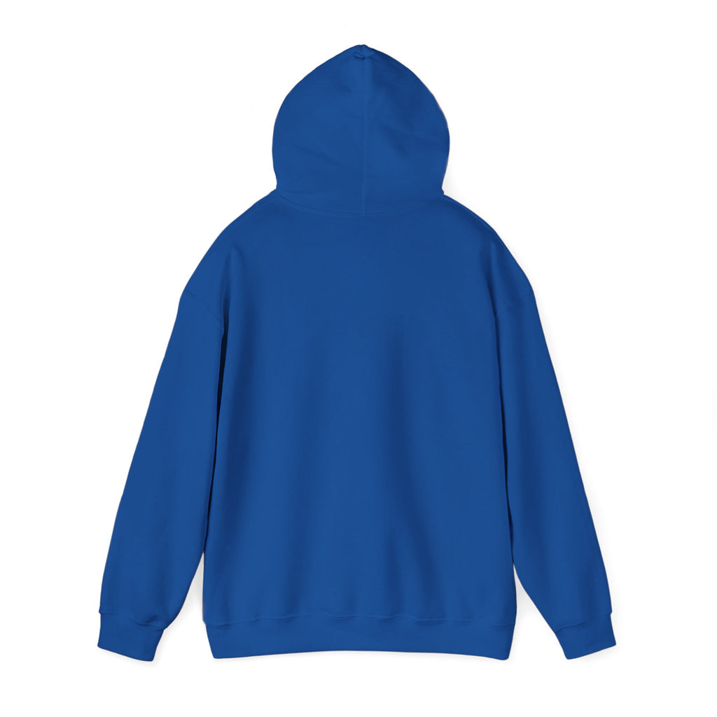 Sweat à capuche graphique SkAmina Lion, sweat-shirt unisexe en mélange lourd, vêtements décontractés confortables, cadeau pour les amoureux du lion, style streetwear, pull confortable