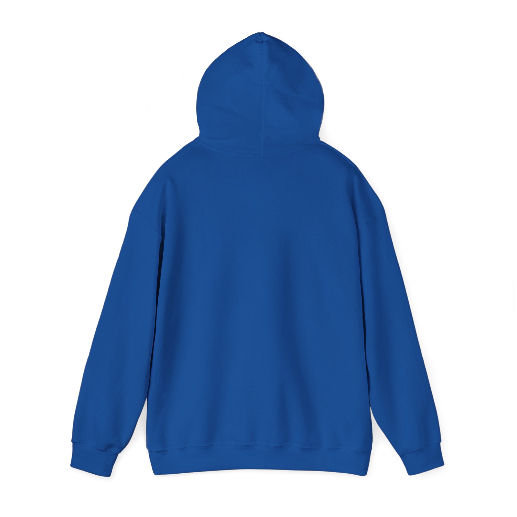 Sweat à capuche graphique SkAmina Lion, sweat-shirt unisexe en mélange lourd, vêtements décontractés confortables, cadeau pour les amoureux du lion, style streetwear, pull confortable