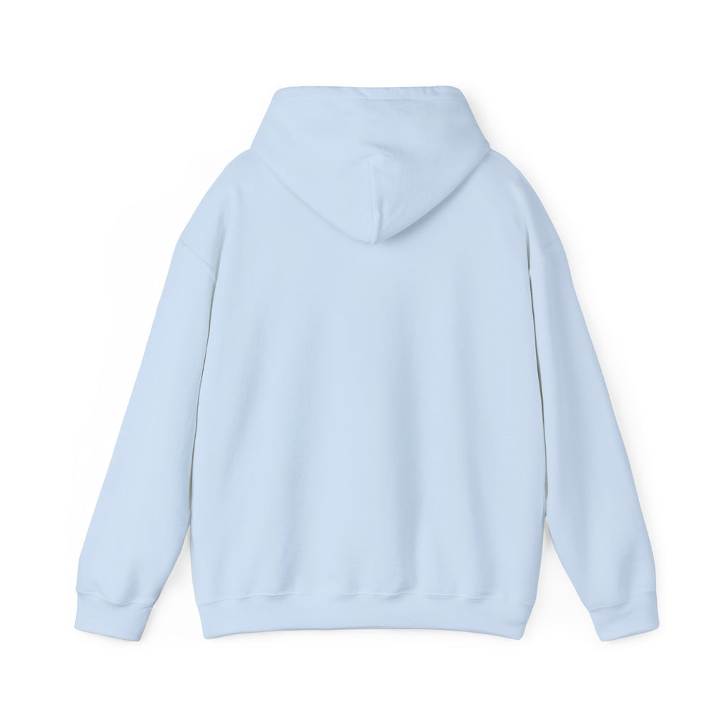 Sweat à capuche graphique SkAmina Lion, sweat-shirt unisexe en mélange lourd, vêtements décontractés confortables, cadeau pour les amoureux du lion, style streetwear, pull confortable