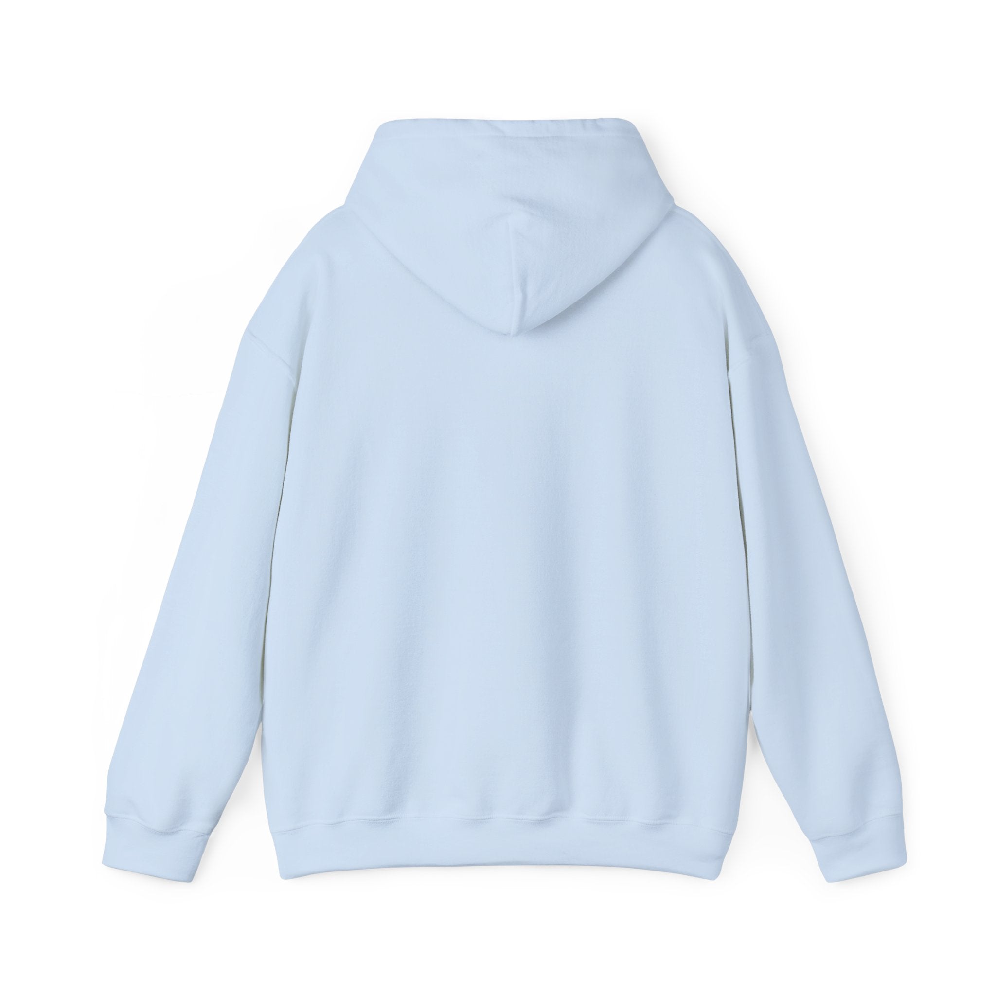 Sweat à capuche graphique SkAmina Lion, sweat-shirt unisexe en mélange lourd, vêtements décontractés confortables, cadeau pour les amoureux du lion, style streetwear, pull confortable