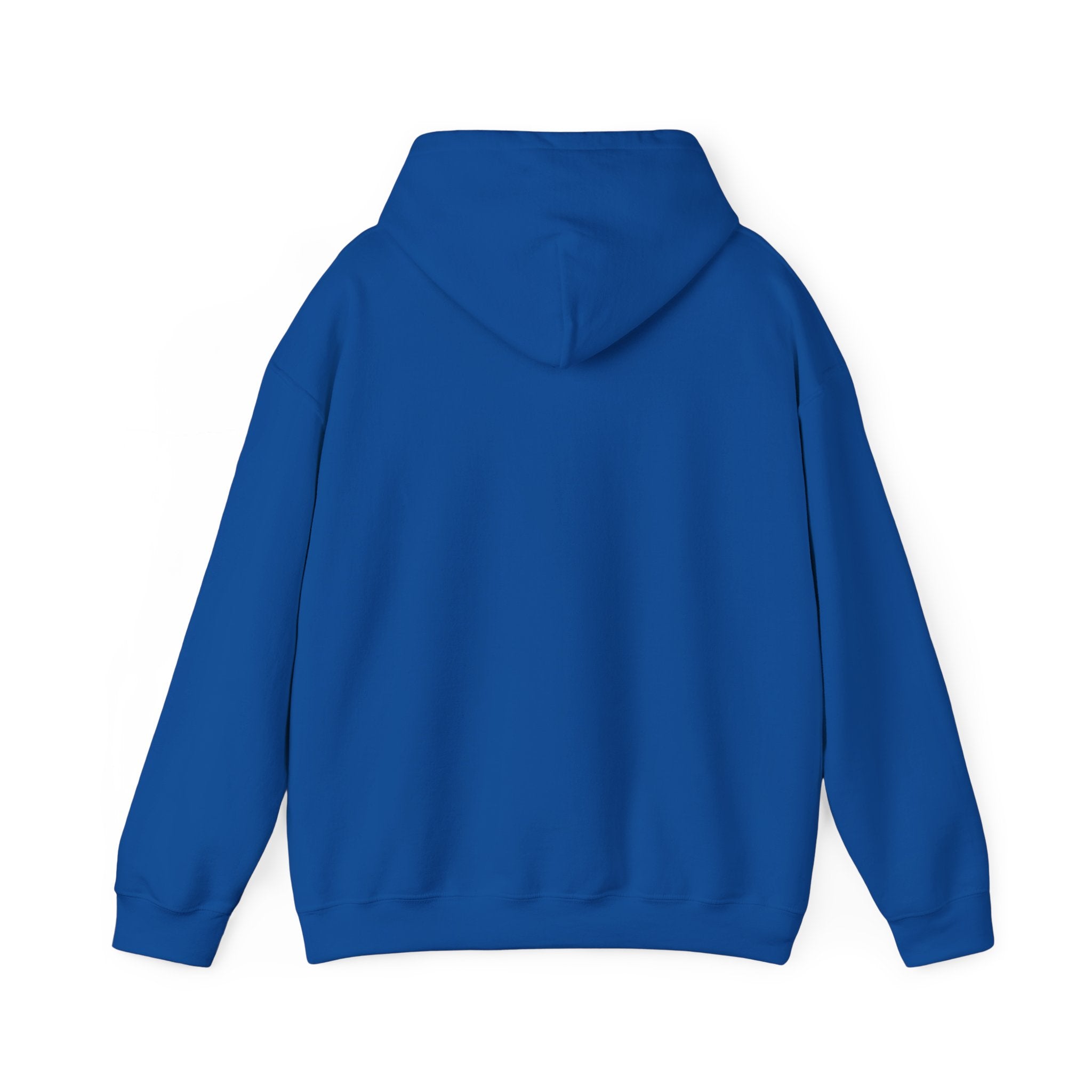 Sweat à capuche graphique SkAmina Lion, sweat-shirt unisexe en mélange lourd, vêtements décontractés confortables, cadeau pour les amoureux du lion, style streetwear, pull confortable