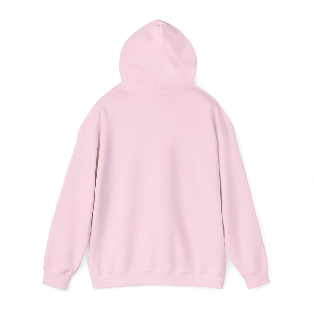 Sweat à capuche graphique SkAmina Lion, sweat-shirt unisexe en mélange lourd, vêtements décontractés confortables, cadeau pour les amoureux du lion, style streetwear, pull confortable