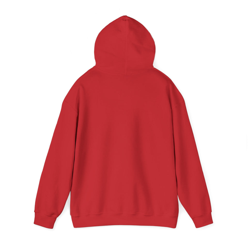Sweat à capuche graphique SkAmina Lion, sweat-shirt unisexe en mélange lourd, vêtements décontractés confortables, cadeau pour les amoureux du lion, style streetwear, pull confortable