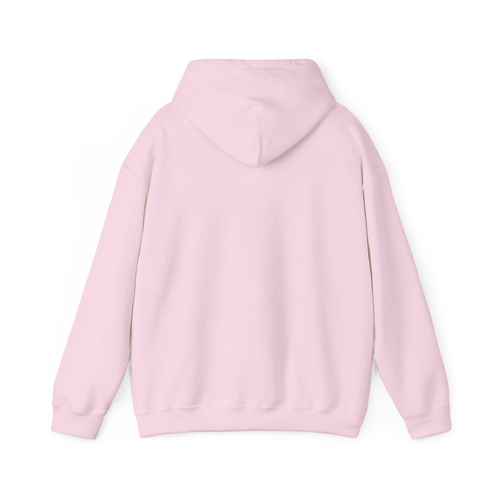 Sweat à capuche graphique SkAmina Lion, sweat-shirt unisexe en mélange lourd, vêtements décontractés confortables, cadeau pour les amoureux du lion, style streetwear, pull confortable