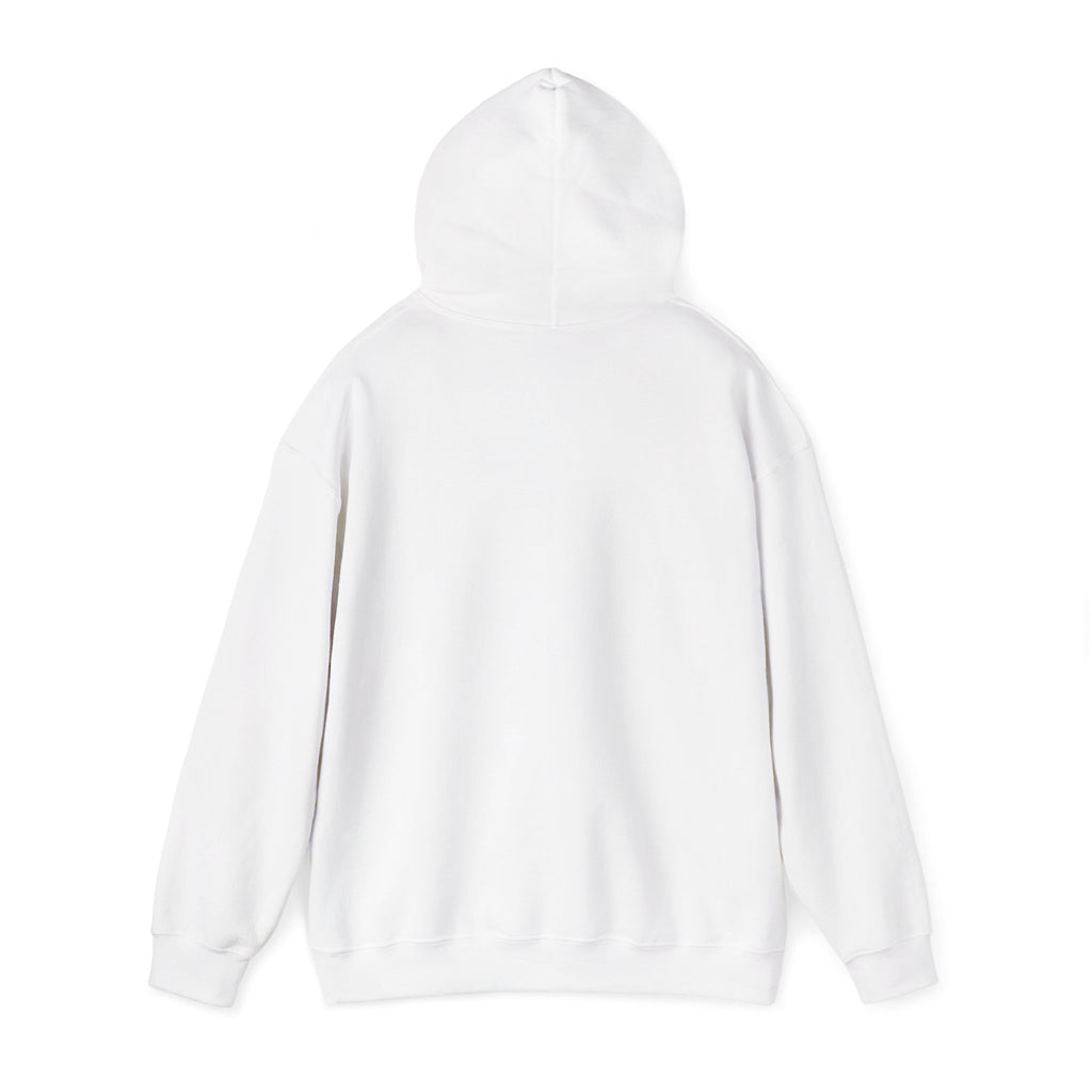 Sweat à capuche graphique SkAmina Lion, sweat-shirt unisexe en mélange lourd, vêtements décontractés confortables, cadeau pour les amoureux du lion, style streetwear, pull confortable