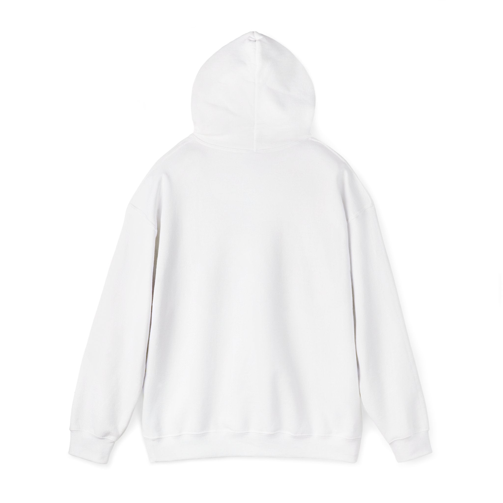 Sweat à capuche graphique SkAmina Lion, sweat-shirt unisexe en mélange lourd, vêtements décontractés confortables, cadeau pour les amoureux du lion, style streetwear, pull confortable